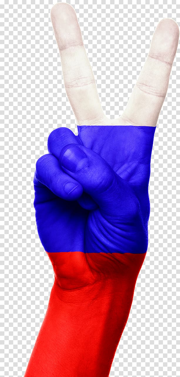 Russia flag PNG transparent image download, size: 698x551px