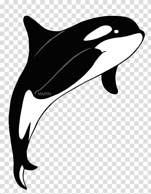 Killer whale The Orca Cetacea , killer whale whale transparent background PNG clipart