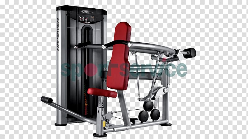 Overhead press Strength training Fitness Centre Biceps curl Chin-up, others transparent background PNG clipart