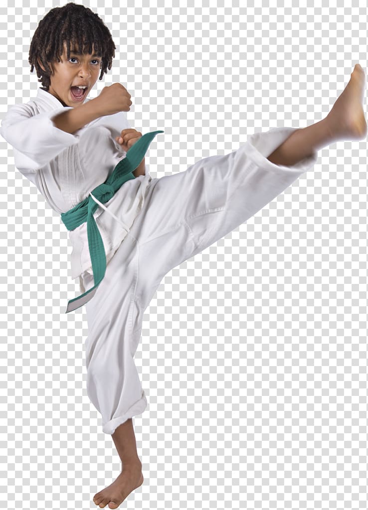 Sandoval Freestyle Karate Gilbert Martial arts Taekwondo Sport, karate transparent background PNG clipart
