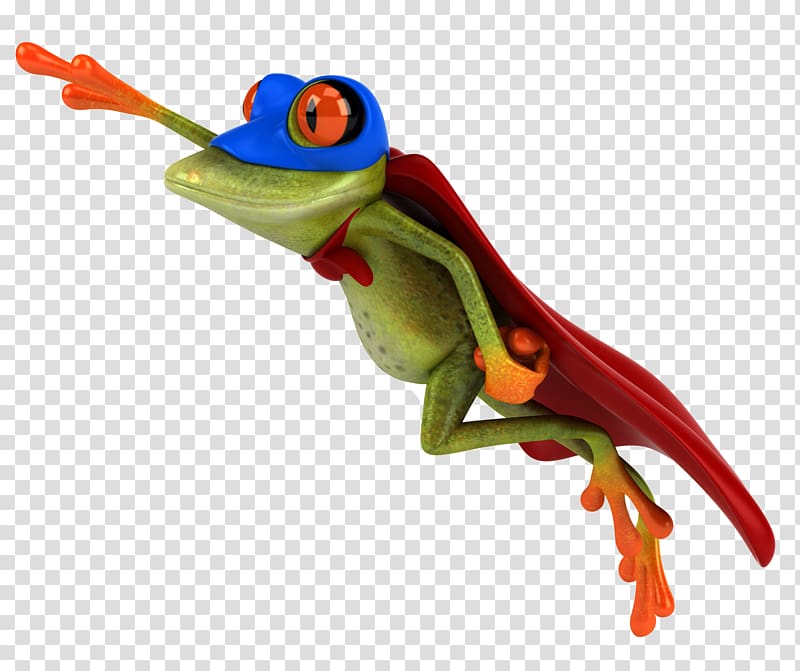 Blue poison dart frog , frog transparent background PNG clipart