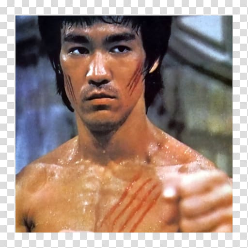 Bruce Lee Martial arts Jeet Kune Do Actor Boxing, bruce lee transparent background PNG clipart