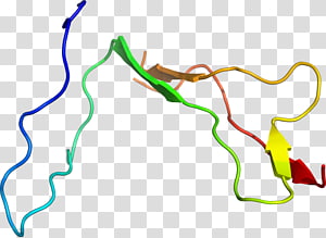 Line Point Organism , line transparent background PNG clipart thumbnail