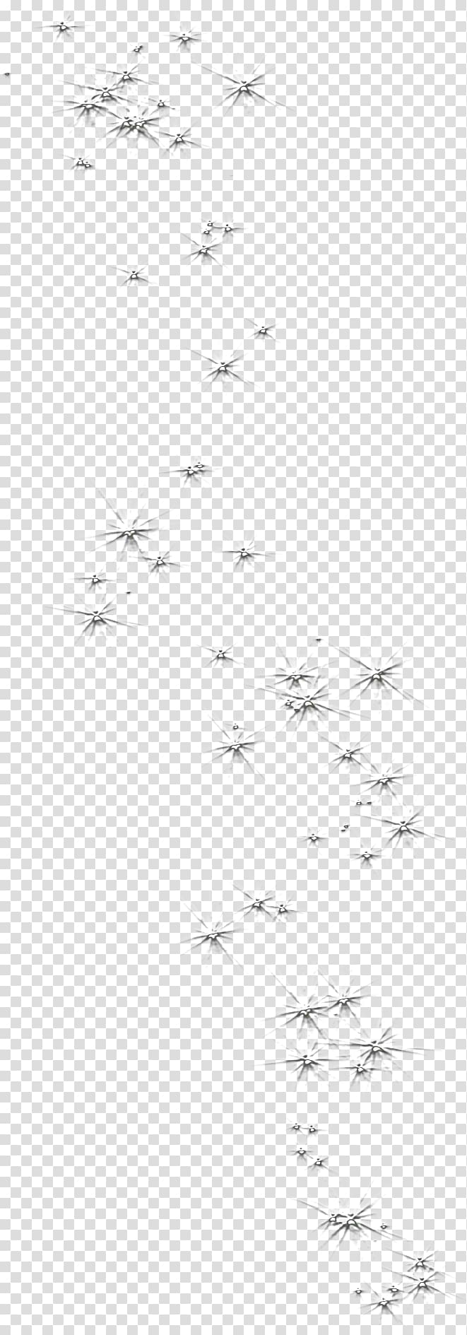Bird /m/02csf Drawing Point Angle, Bird transparent background PNG clipart
