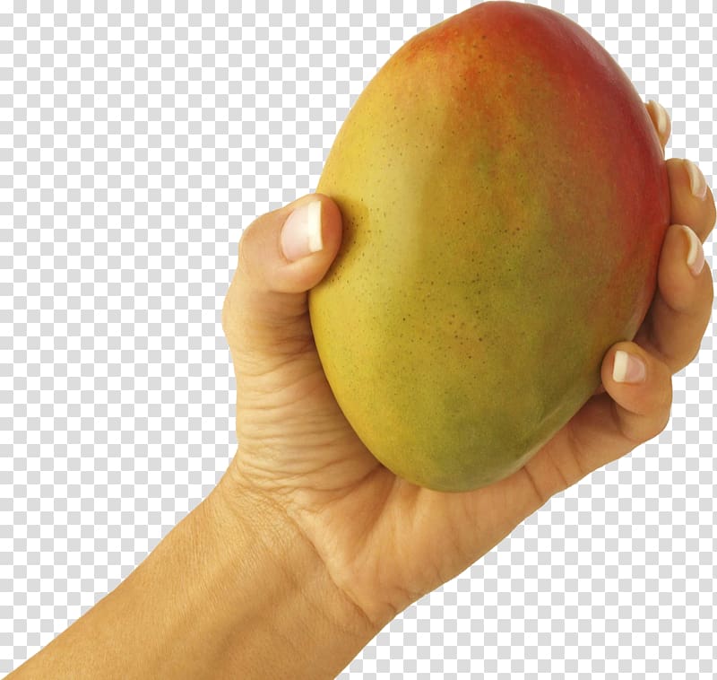 Mango transparent background PNG clipart