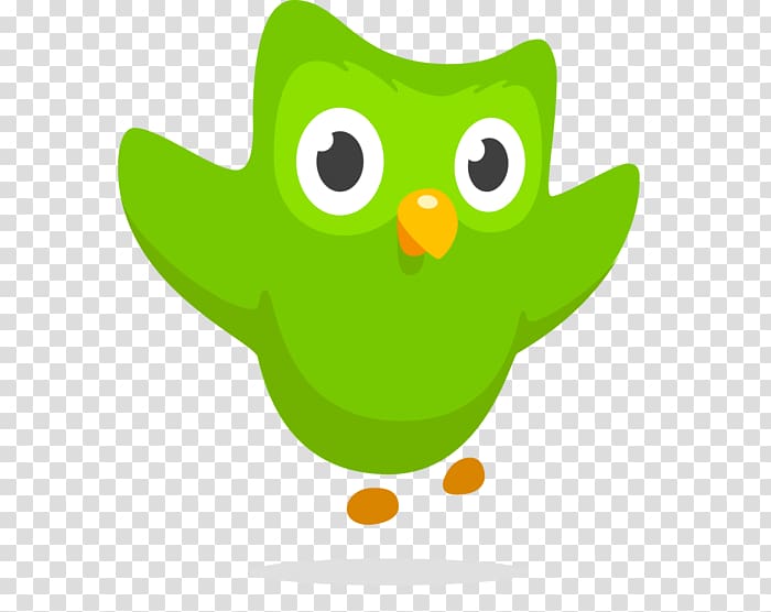 Duolingo Owl Learning Language acquisition, owl transparent background PNG clipart