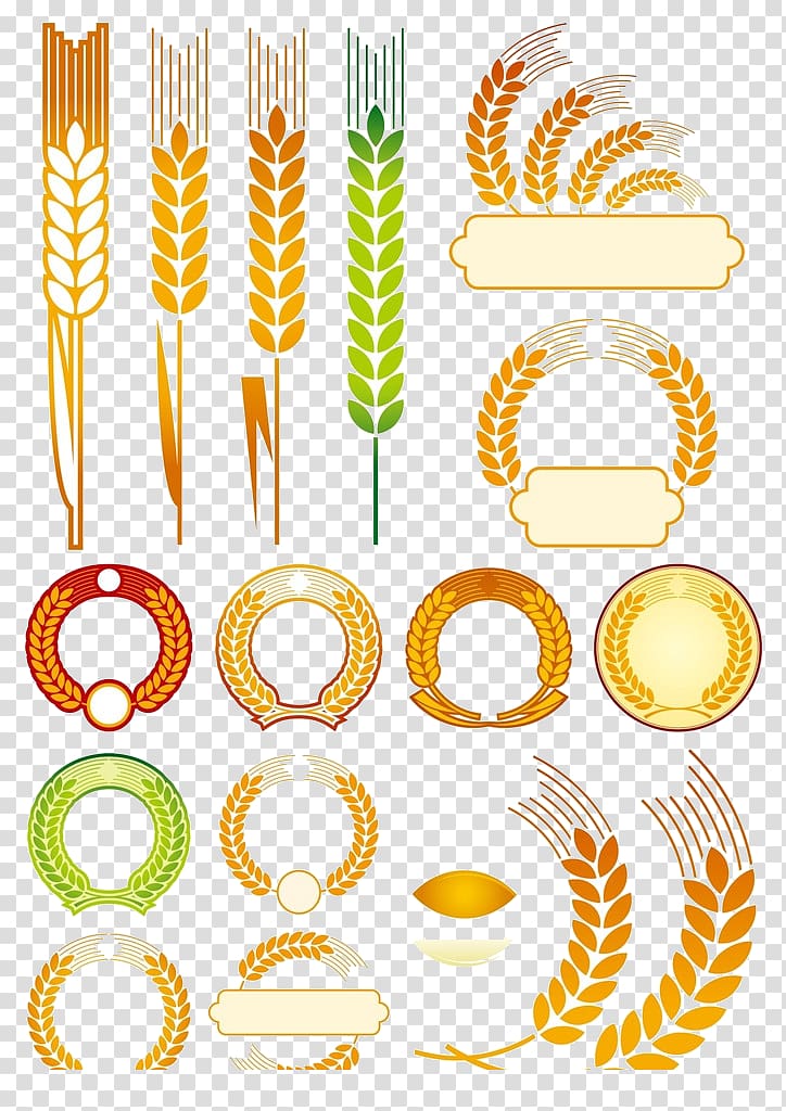 Common wheat Logo Ear Illustration, wheat transparent background PNG clipart