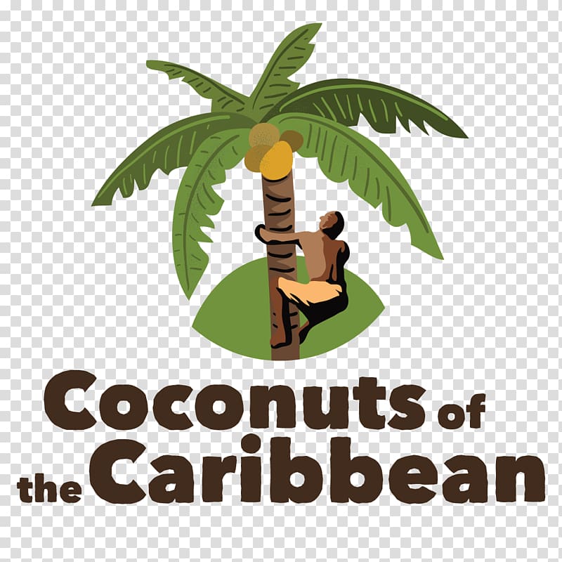 Coconut day Jamaica Trinidad Tree, coconut transparent background PNG clipart
