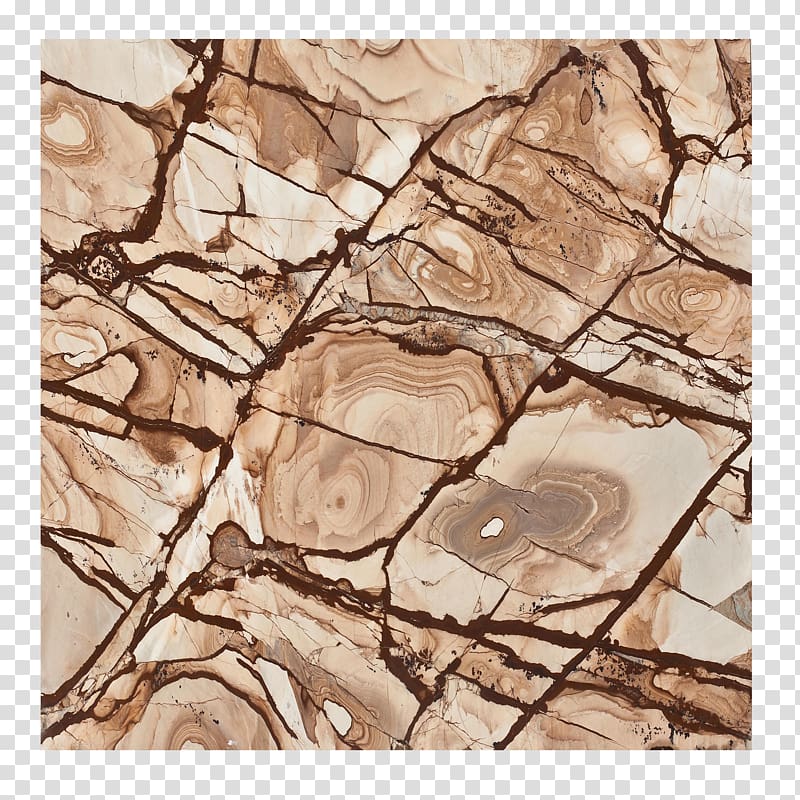 Marble Bark, Bark ring marbling free transparent background PNG clipart