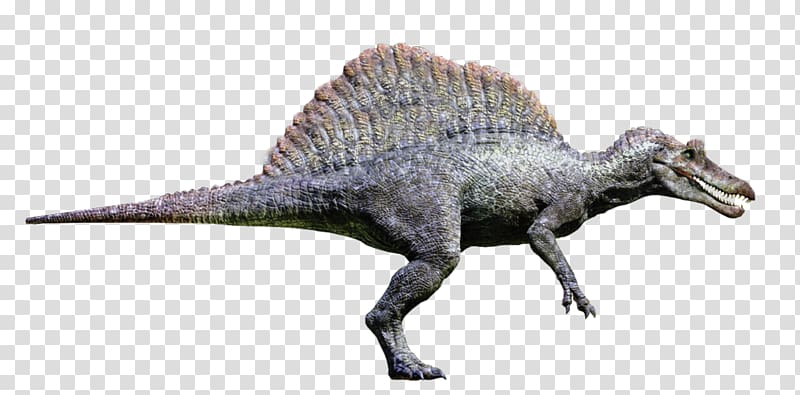 Spinosaurus Tyrannosaurus Velociraptor Giganotosaurus Jurassic Park: Operation Genesis, 3d illusion led transparent background PNG clipart