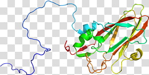 Line Point Organism , line transparent background PNG clipart thumbnail