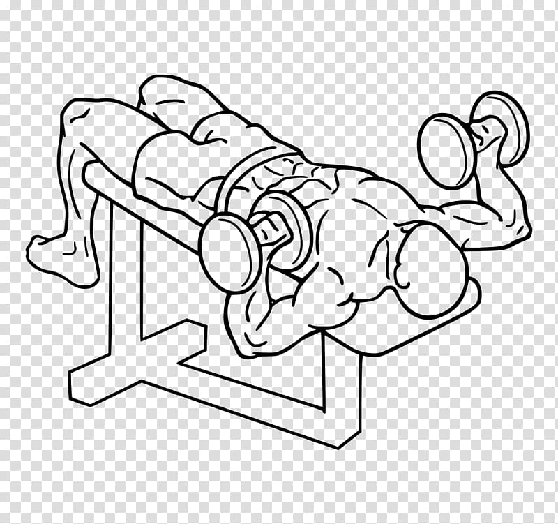 Bench press Dumbbell Fly Barbell, color pull down transparent background PNG clipart