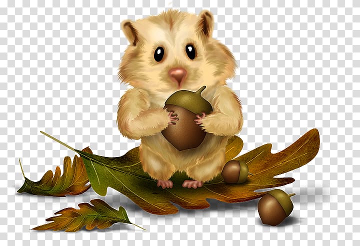 Rodent Red squirrel Chipmunk Tree squirrel, sitting cross legged girl transparent background PNG clipart