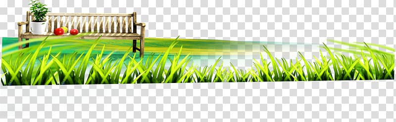 Lawn Wheatgrass Energy, grass transparent background PNG clipart