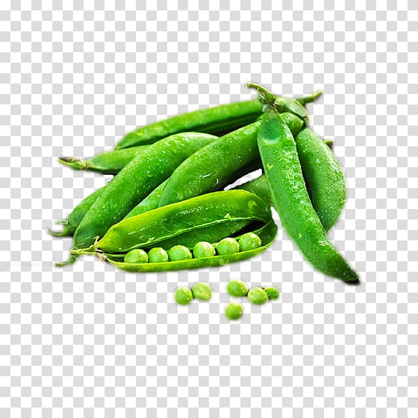 Snap pea Edamame Vegetarian cuisine Vegetable, Single vegetable transparent background PNG clipart