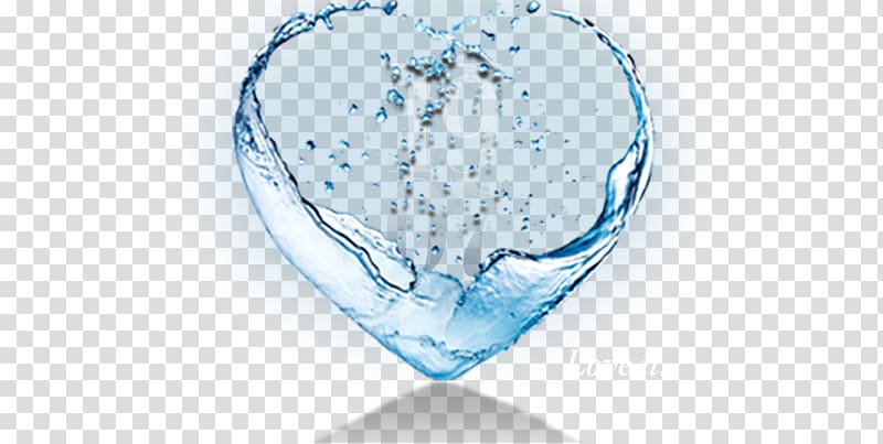 Water ionizer Hard water Drinking water Food, purified water transparent background PNG clipart