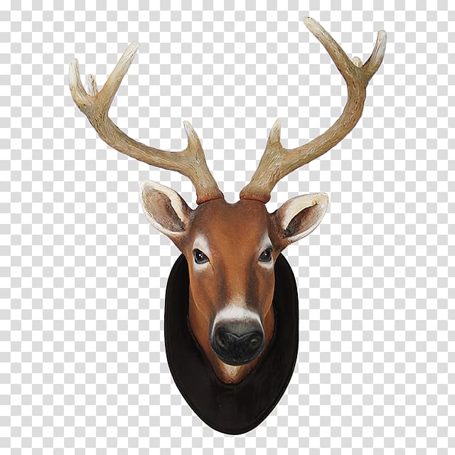 Reindeer White-tailed deer Elk Animal, deer head transparent background PNG clipart
