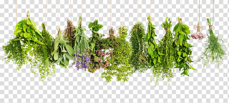 Herbes de Provence Vegetable Health, vegetable transparent background PNG clipart