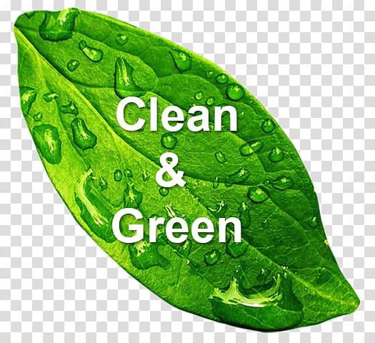 Green cleaning Natural environment Environmentally friendly Cleaner, clean environment transparent background PNG clipart
