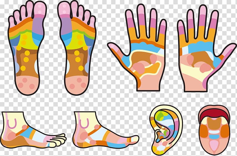 Hand Reflexology Foot, Palms and soles footprints handprints transparent background PNG clipart