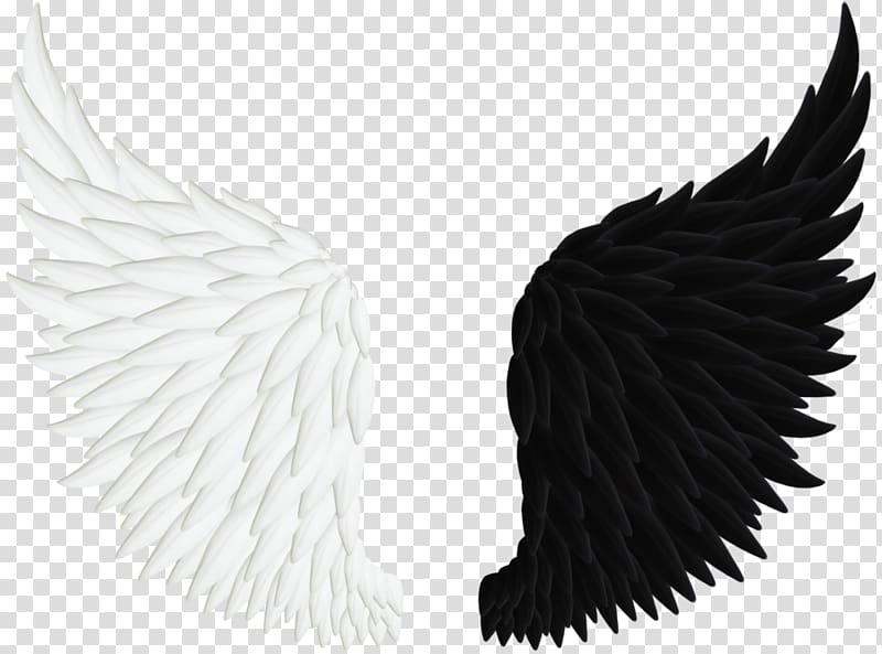black and white wings art, Angel , Black And White Wings transparent background PNG clipart