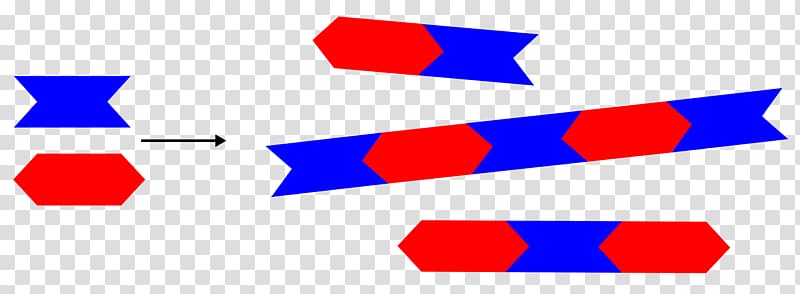 Addition polymer Polymerization Addition reaction Wikiwand, others transparent background PNG clipart Addition polymer Polymerization Addition reaction Wikiwand, others transparent background PNG clipart