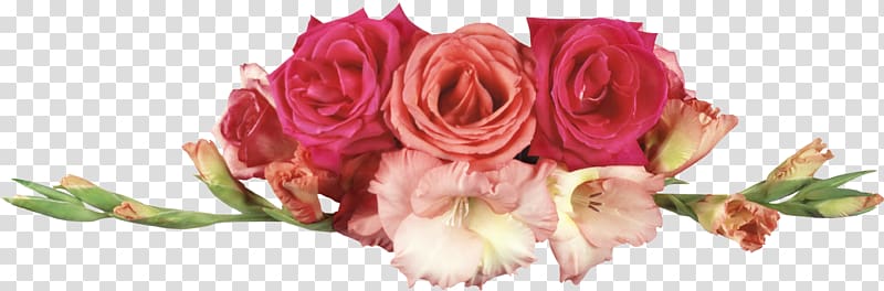 Child Woman Mawlid Garden roses, others transparent background PNG clipart