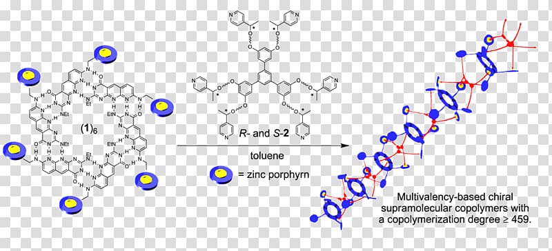 Supramolecular Polymers Chirality Supramolecular chemistry Molecule, biomolecules polymers transparent background PNG clipart