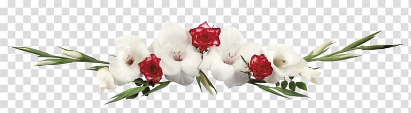 Flower TAK Marriage, gladiolus transparent background PNG clipart