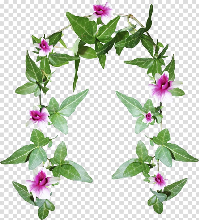 Flower , flowers arch transparent background PNG clipart