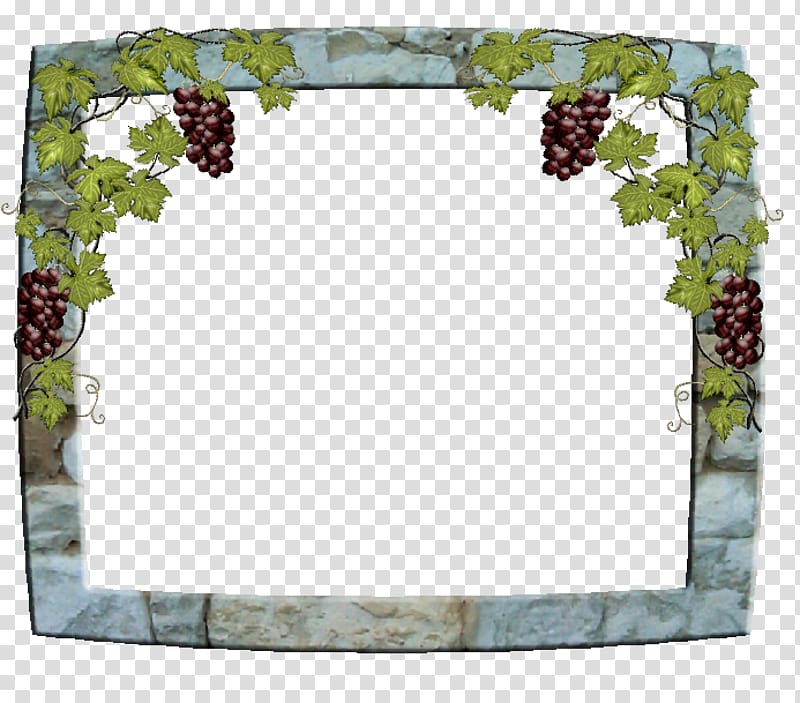Common Grape Vine Frames Vigne Paper, raisin transparent background PNG clipart
