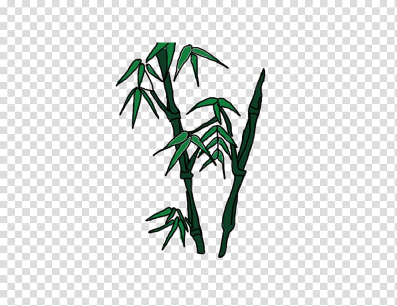 Bamboo Bambusa oldhamii , bamboo transparent background PNG clipart