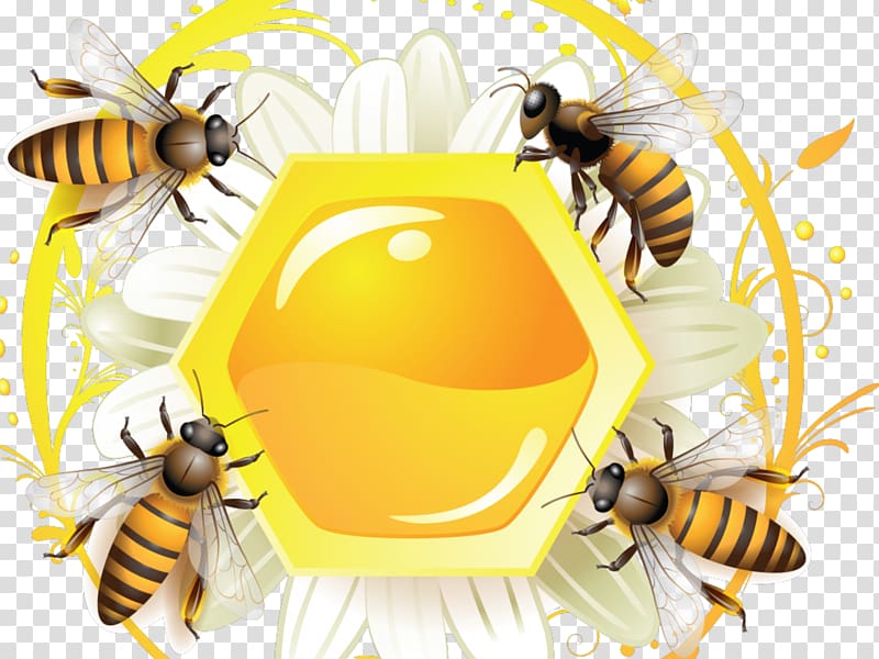 Honey bee Label, bee transparent background PNG clipart