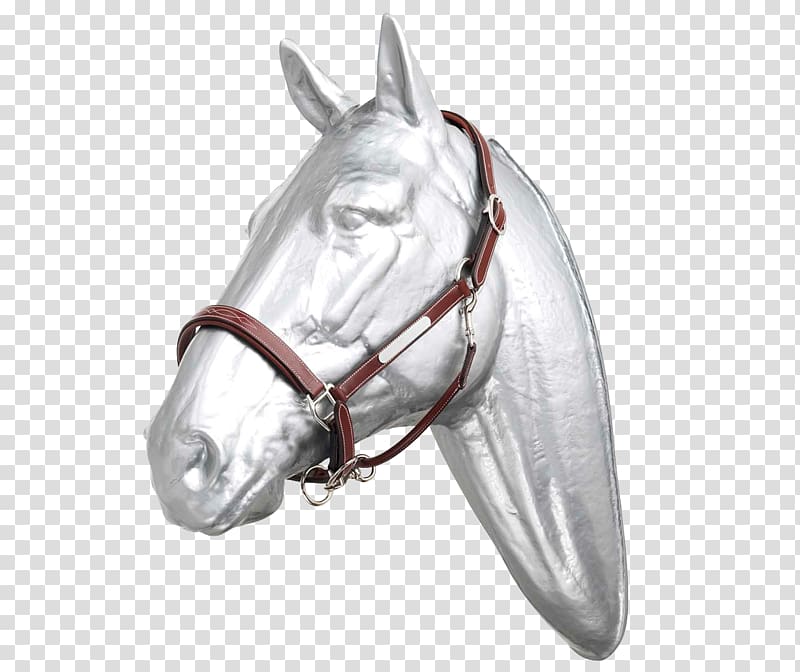 Horse Tack Bridle Halter Girth, horse transparent background PNG clipart