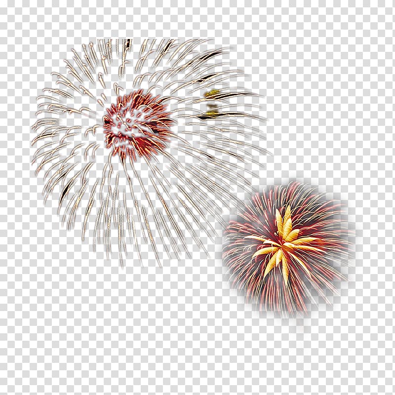 Fireworks Firecracker, Creative pull the bloom of fireworks Free transparent background PNG clipart