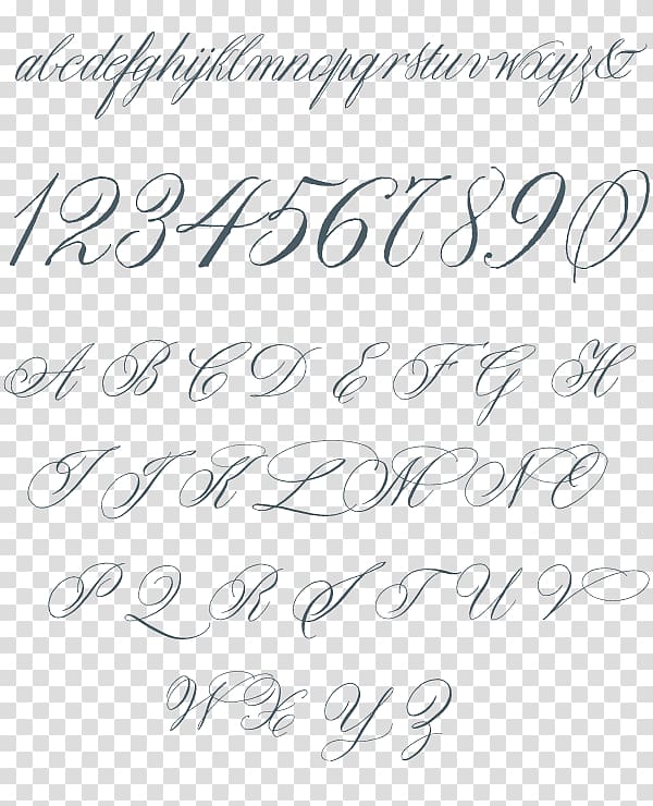 Font Italic type Calligraphy Cursive Typeface, Calligraphy alphabet transparent background PNG clipart