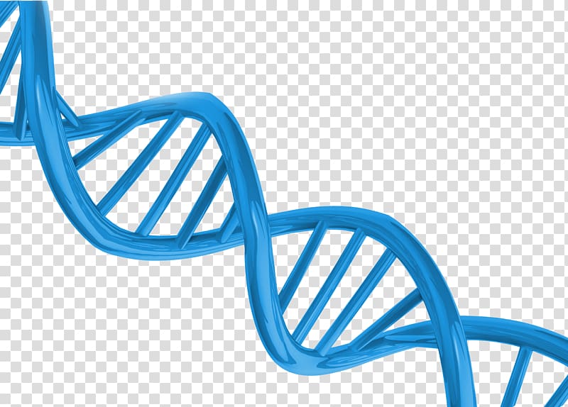 DNA transparent background PNG clipart