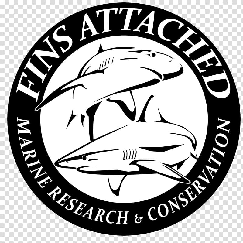 Logo Fins Attached Jog-A-Thon Drawing, Shark attack transparent background PNG clipart