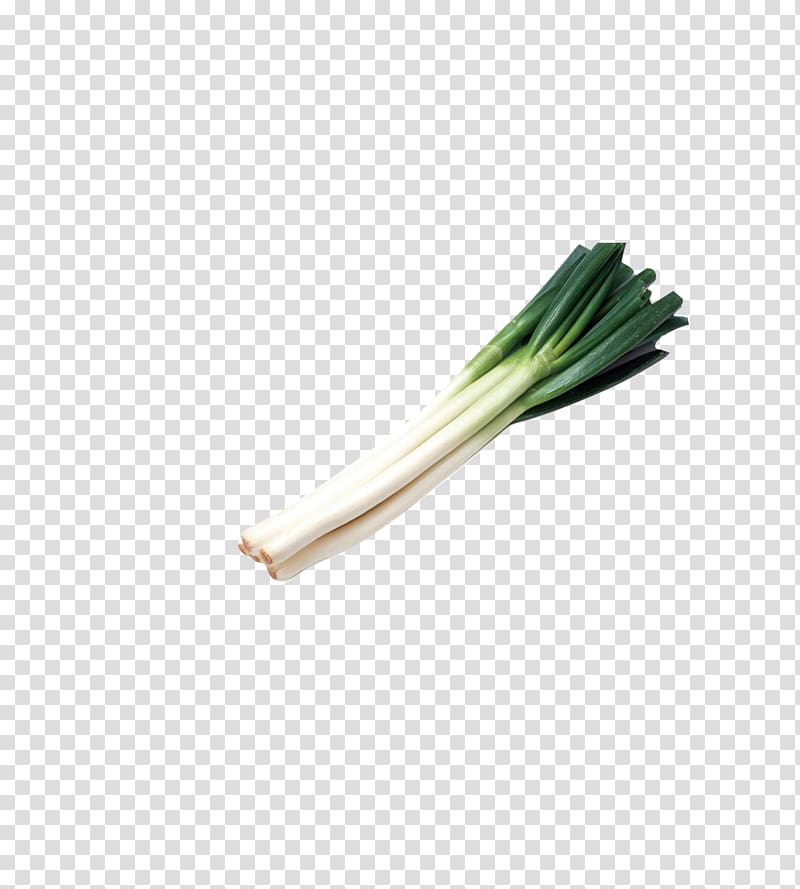 Allium fistulosum Onion Garlic Chives Scallion, Garlic transparent background PNG clipart