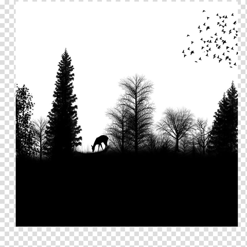 Silhouette Drawing Forest, Silhouette transparent background PNG clipart