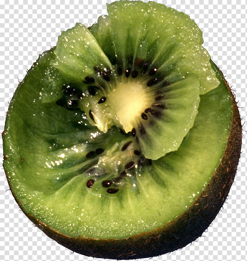 Kiwifruit Actinidia deliciosa Actinidia chinensis, Kiwi , free fruit kiwi transparent background PNG clipart