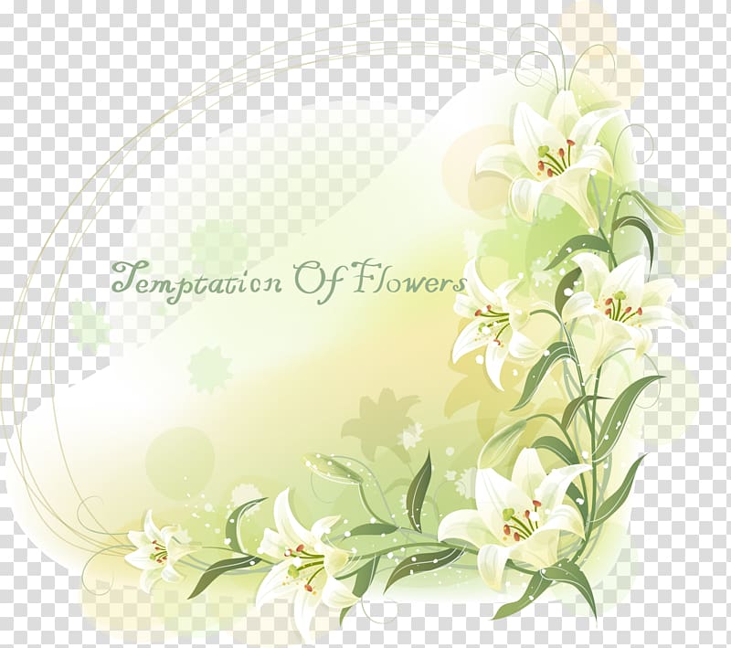 Lilium Flower , Pattern border background elements transparent background PNG clipart