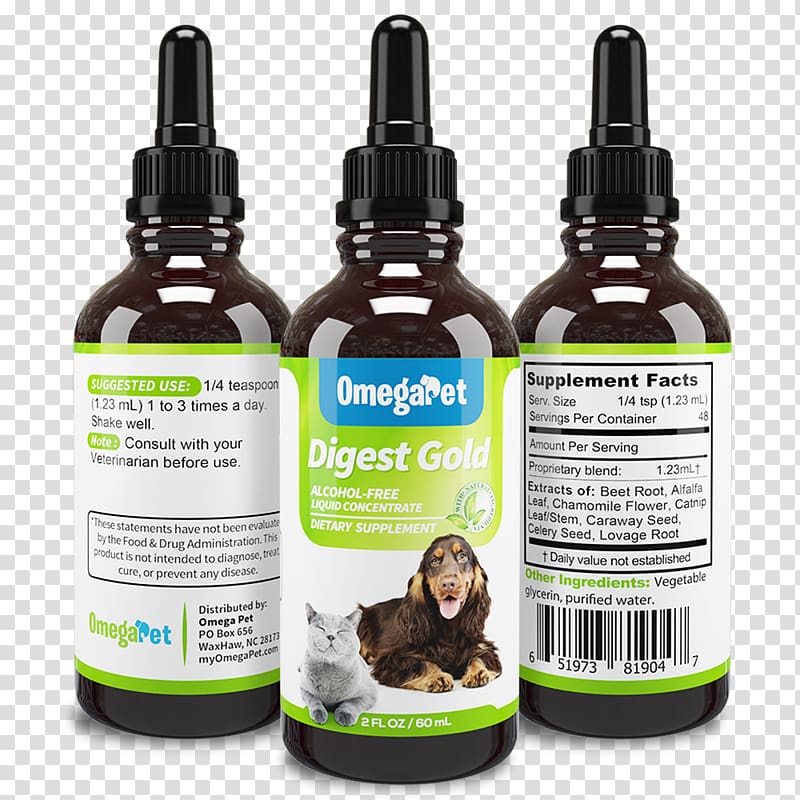 Dog Cough medicine Cat Kennel cough Pet, Dog transparent background PNG clipart