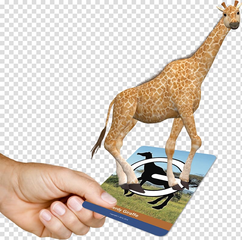 Education Giraffe Learning School Augmented reality, dimensional cards transparent background PNG clipart