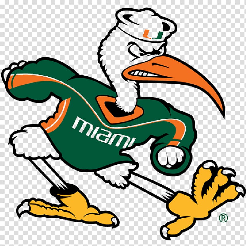 University of Miami Miami Hurricanes football Miami Hurricanes baseball Sebastian the Ibis Miami Hurricanes men\'s basketball, Ganesh Art Miami transparent background PNG clipart