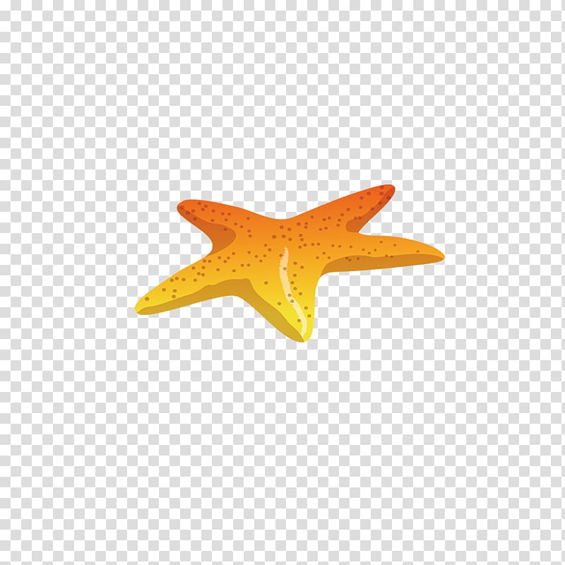 Euclidean Icon, Starfish Creative transparent background PNG clipart