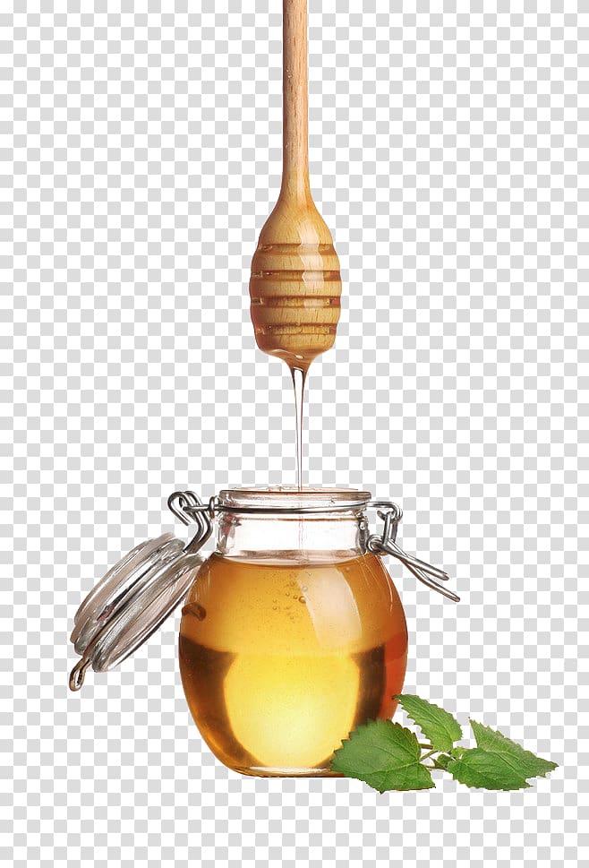 Bee Honey Avocado Skin Auglis, honey transparent background PNG clipart