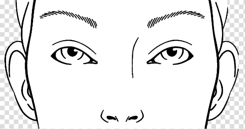 Face Chart Cosmetics Drawing, Face transparent background PNG clipart