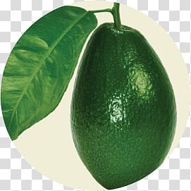 Avocado transparent background PNG clipart