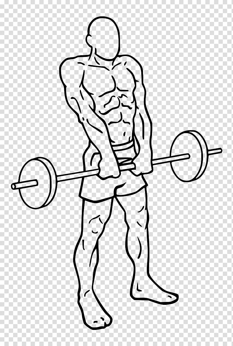 Front raise Overhead press Dumbbell Shoulder shrug Exercise, dumbbell transparent background PNG clipart